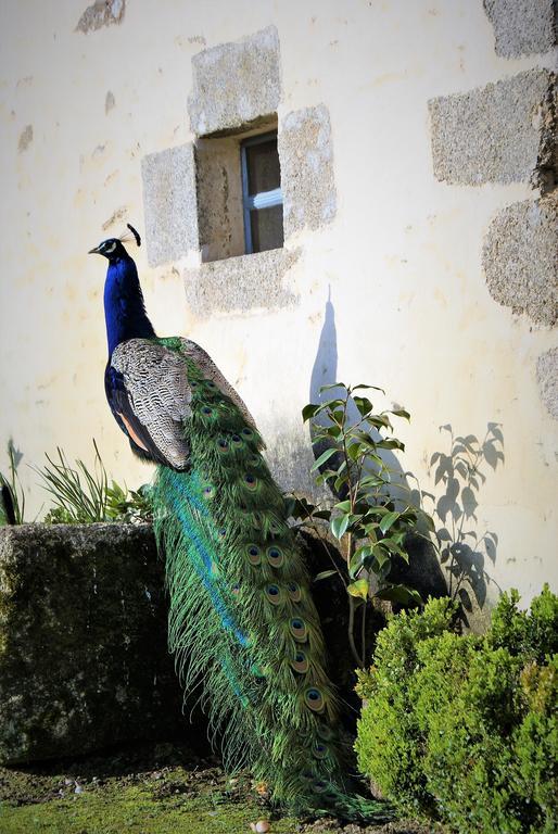 Chateau De La Chasse-Guerre Bed & Breakfast Hardanges Eksteriør bilde