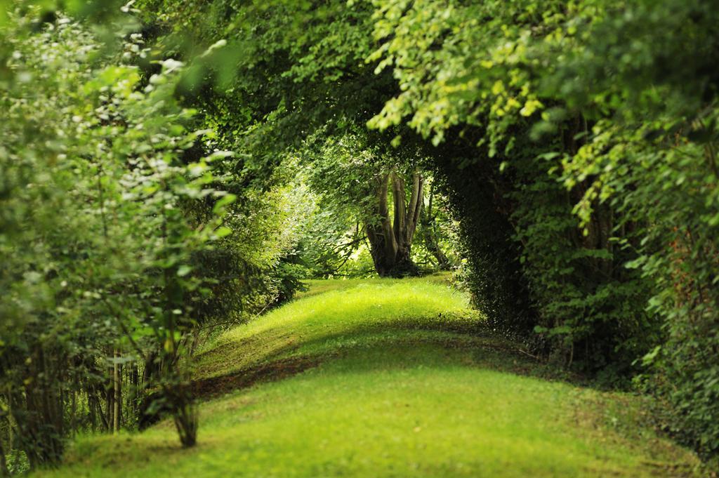 Chateau De La Chasse-Guerre Bed & Breakfast Hardanges Eksteriør bilde